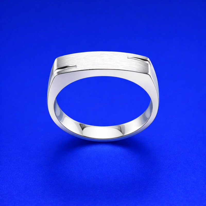 chevalière pour homme en or blanc 18 carats mat et brillante